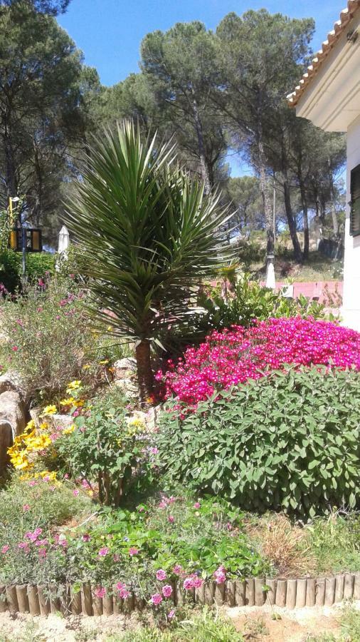 הוילה Las Jaras Casa Encantadora Con Piscina Privada Y Chimenea מראה חיצוני תמונה