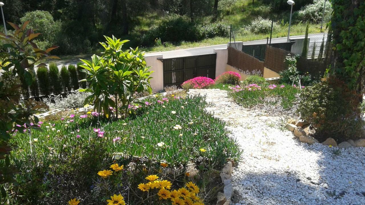 הוילה Las Jaras Casa Encantadora Con Piscina Privada Y Chimenea מראה חיצוני תמונה