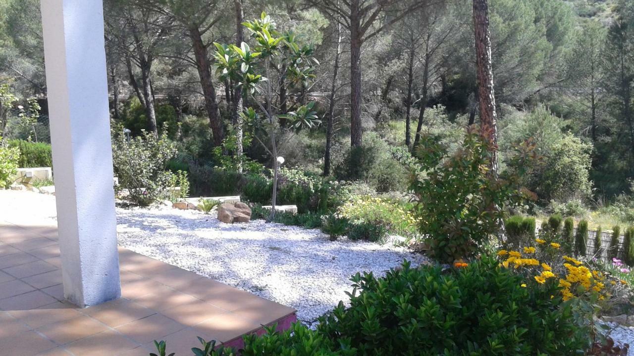 הוילה Las Jaras Casa Encantadora Con Piscina Privada Y Chimenea מראה חיצוני תמונה